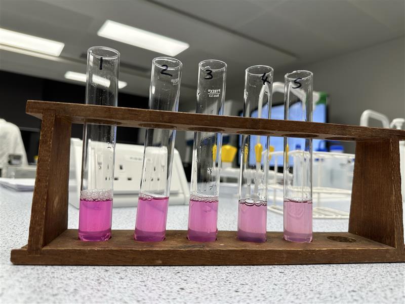 Advanced Higher Biology – Practical Skills